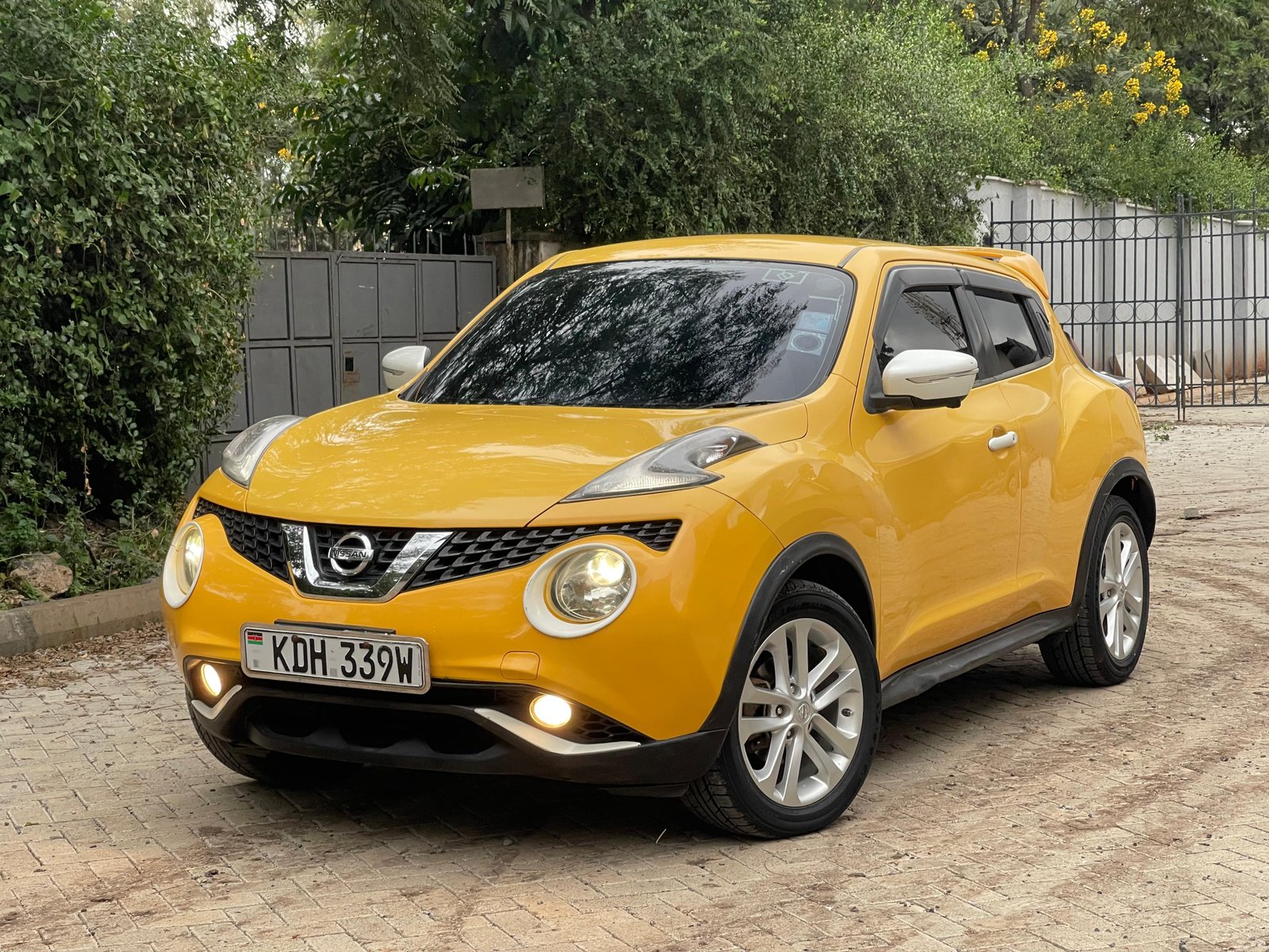 Nissan Juke image 1