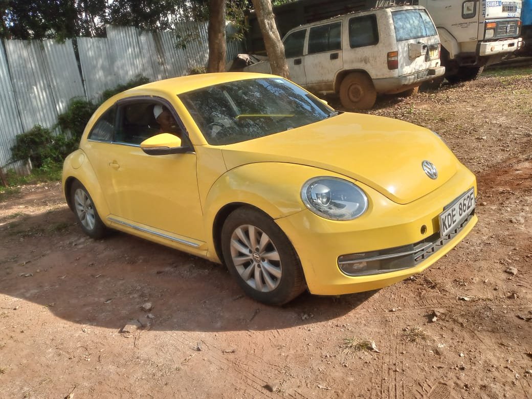volkswagen Beetle