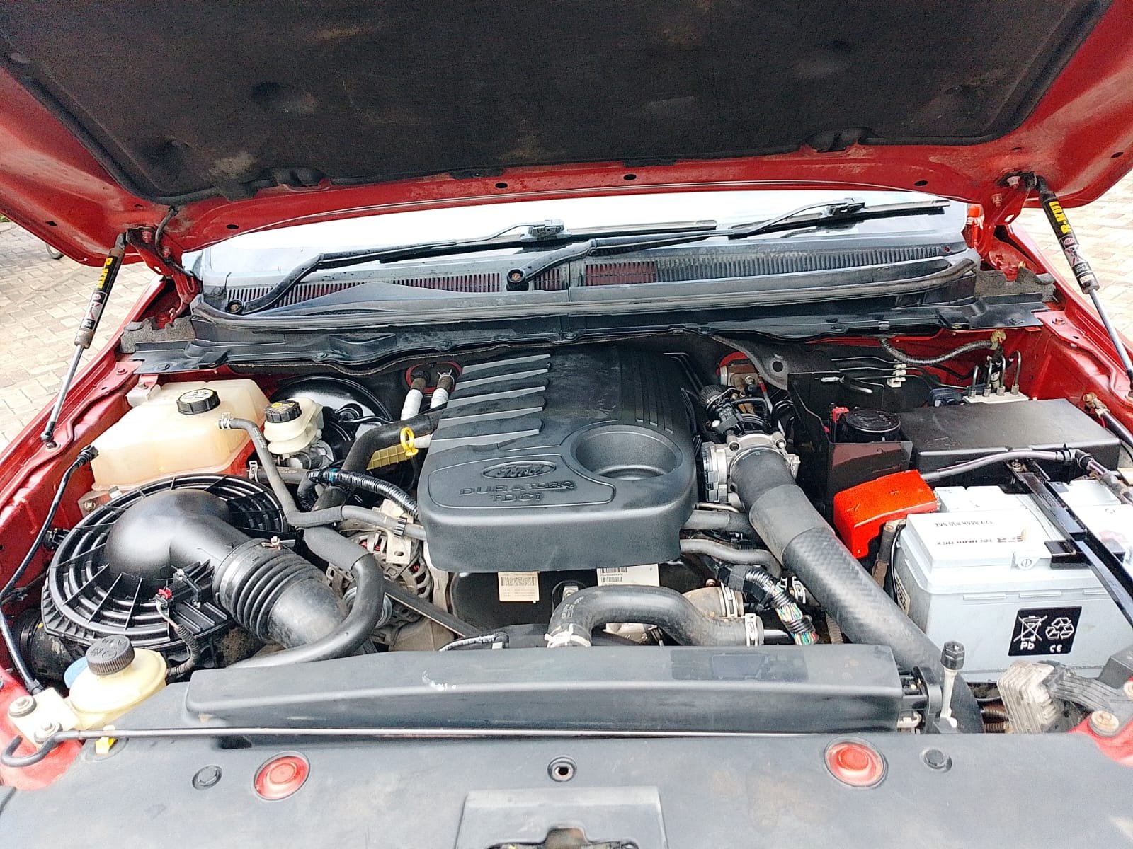 Ford Ranger image 3